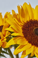 What Does Detox, #NoTox Mean to Us?