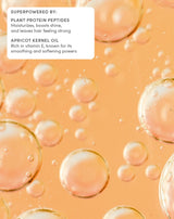 SUPERPOWERED BY:
PLANT PROTEIN PEPTIDES
Moisturizes, boosts shine,
and leaves hair feeling strong
APRICOT KERNEL OIL
Rich in vitamin E, known for its
smoothing and softening powers