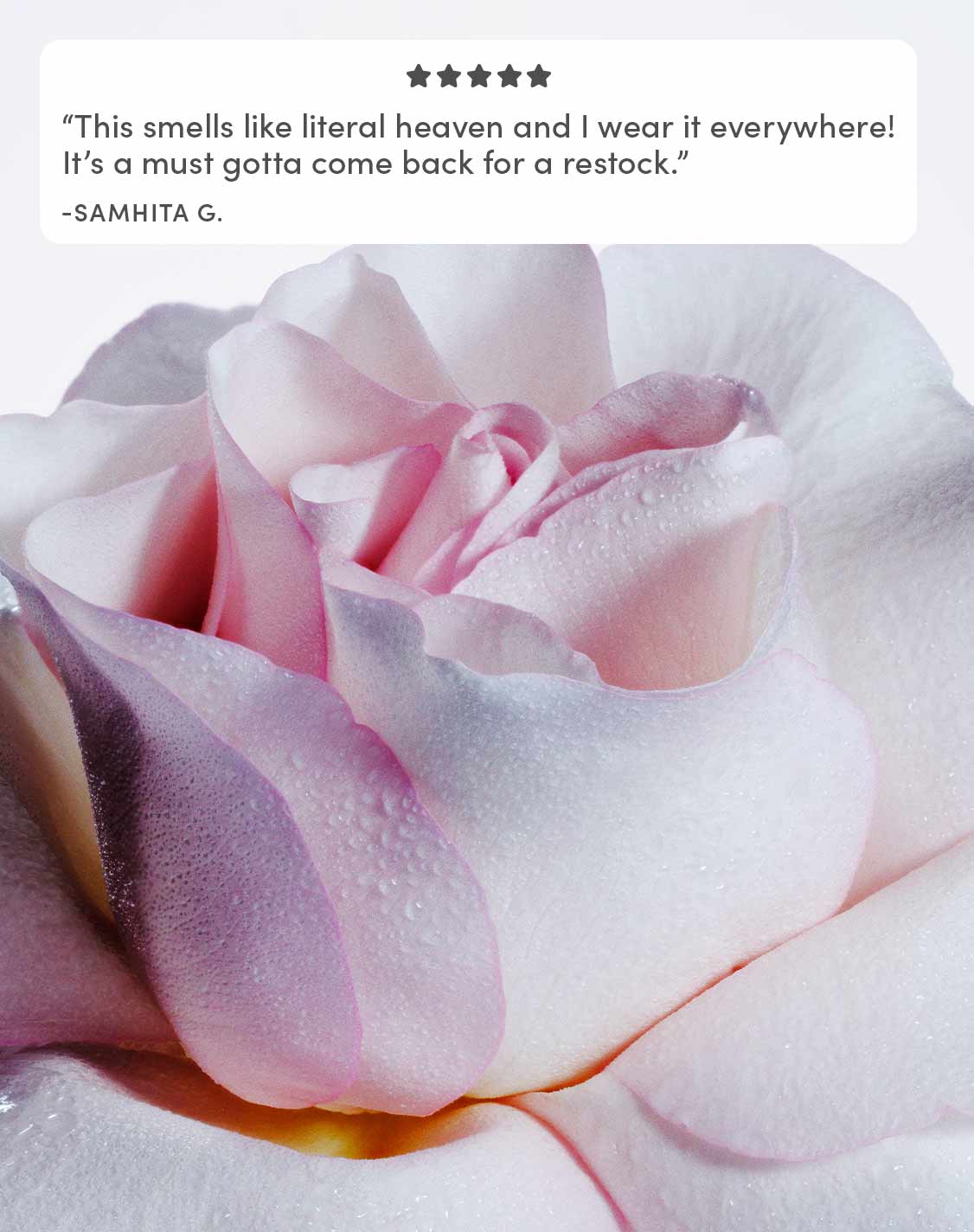 Hair and Body Fragrance Mist - Darling