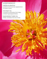 Petit Bouquet Postpartum Belly Serum