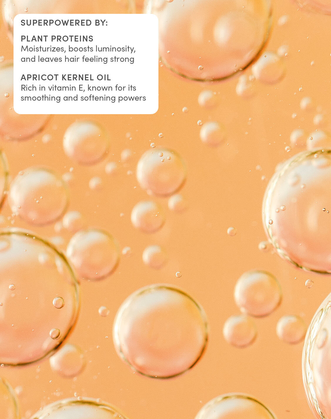 SUPERPOWERED BY:
PLANT PROTEINS

Moisturizes, boosts luminosity, and leaves hair feeling strong
APRICOT KERNEL OIL

Rich in vitamin E, known for its smoothing and softening powers